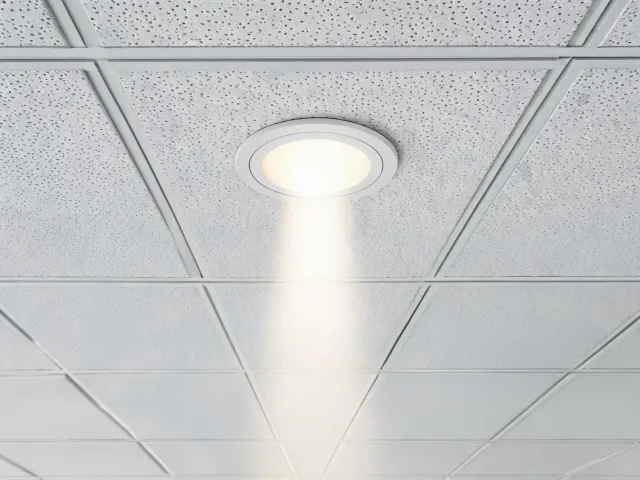 Recessed commercial downlight